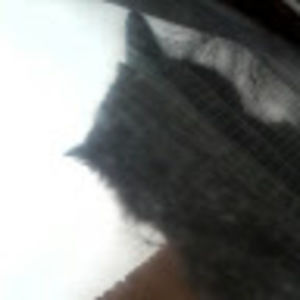 Meet your Posher, Beautiful